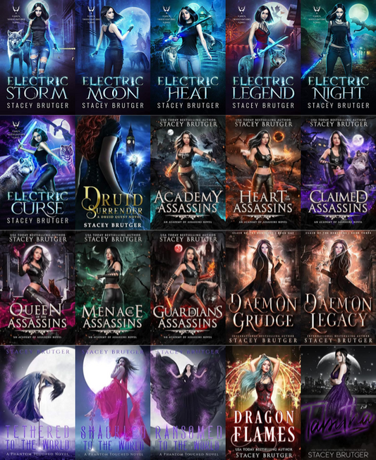 Raven Investigations Series & more by Stacey Brutger ~ 20 E-BOOK COLLECTION